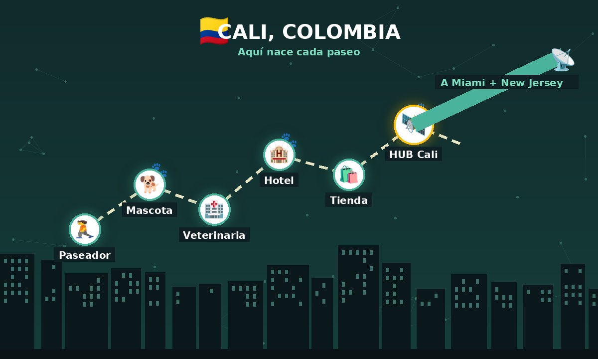 Mapa de la operación WalkPet en Cali, Colombia: paseador, mascota, veterinaria, hotel, tienda y HUB con señal hacia Miami y New Jersey